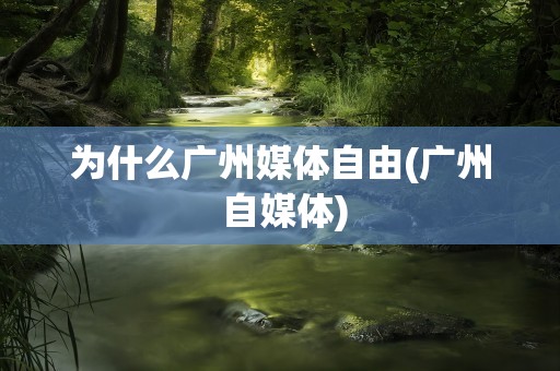 为什么广州媒体自由(广州 自媒体)