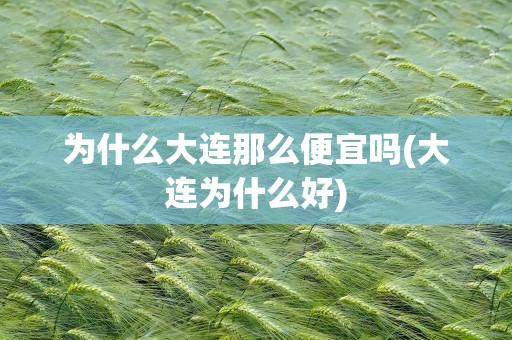为什么大连那么便宜吗(大连为什么好)