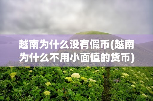 越南为什么没有假币(越南为什么不用小面值的货币)