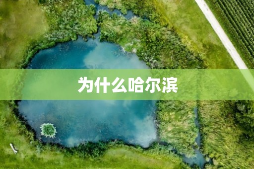 为什么哈尔滨