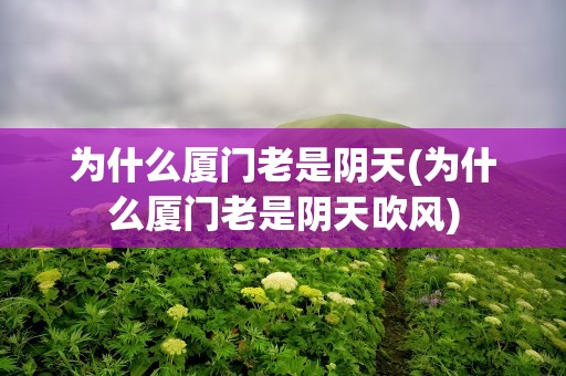 为什么厦门老是阴天(为什么厦门老是阴天吹风)
