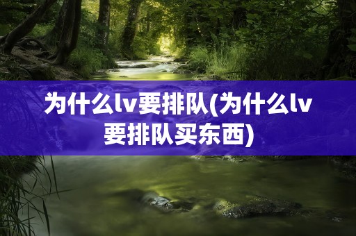 为什么lv要排队(为什么lv要排队买东西)