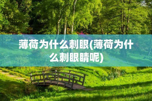 薄荷为什么刺眼(薄荷为什么刺眼睛呢)