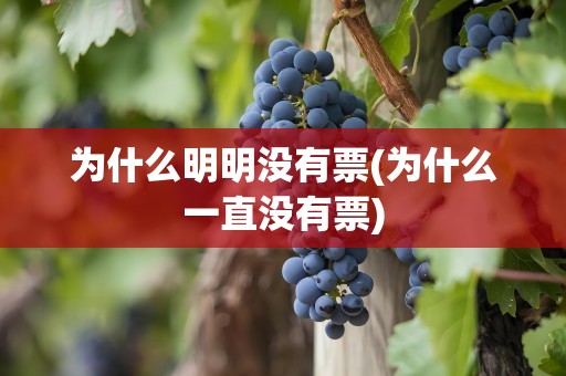 为什么明明没有票(为什么一直没有票)