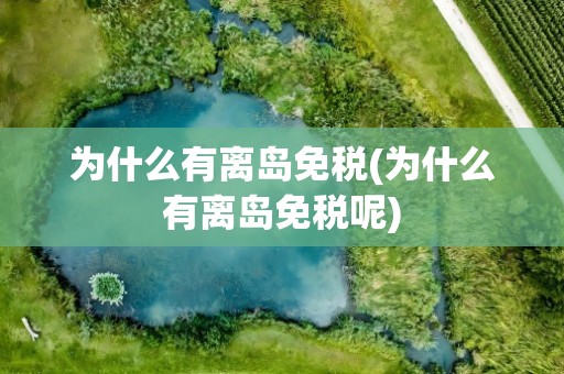 为什么有离岛免税(为什么有离岛免税呢)