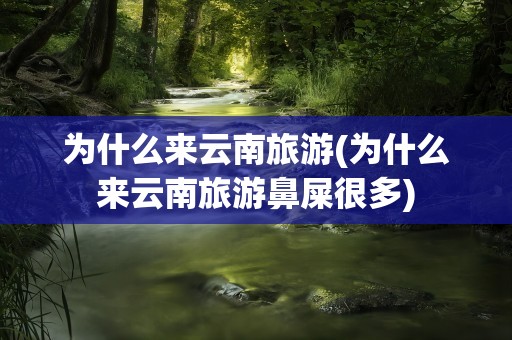 为什么来云南旅游(为什么来云南旅游鼻屎很多)