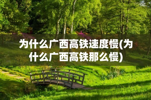 为什么广西高铁速度慢(为什么广西高铁那么慢)