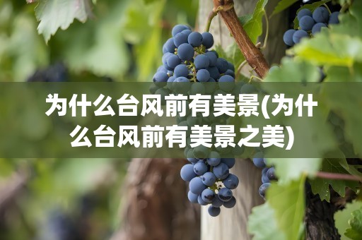 为什么台风前有美景(为什么台风前有美景之美)