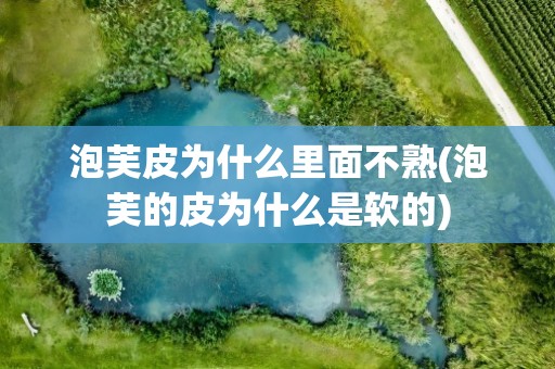 泡芙皮为什么里面不熟(泡芙的皮为什么是软的)