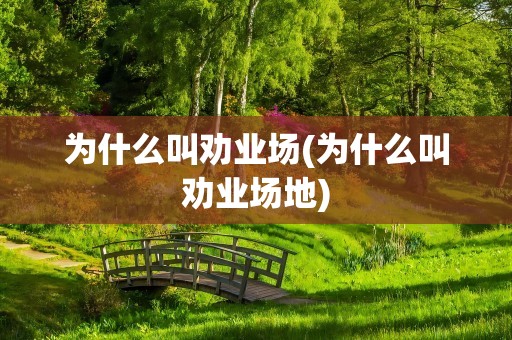 为什么叫劝业场(为什么叫劝业场地)
