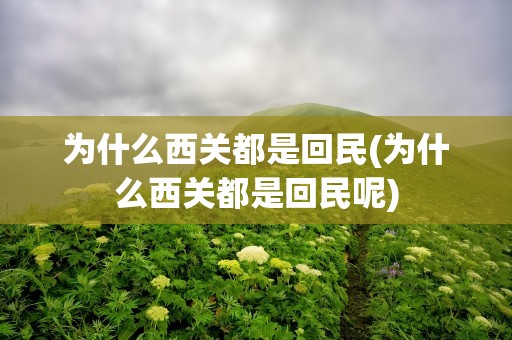 为什么西关都是回民(为什么西关都是回民呢)