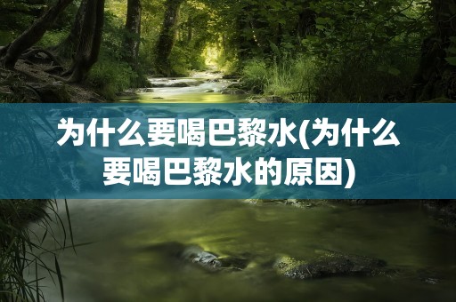 为什么要喝巴黎水(为什么要喝巴黎水的原因)
