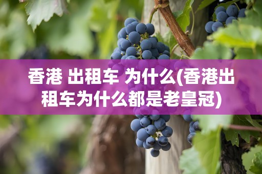 香港 出租车 为什么(香港出租车为什么都是老皇冠)