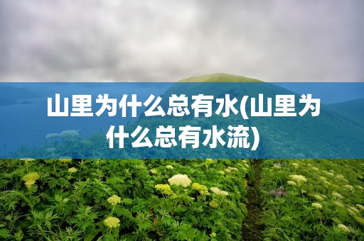山里为什么总有水(山里为什么总有水流)