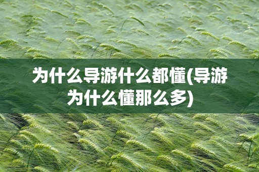 为什么导游什么都懂(导游为什么懂那么多)