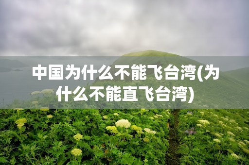 中国为什么不能飞台湾(为什么不能直飞台湾)