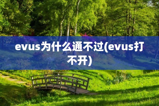 evus为什么通不过(evus打不开)