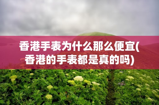 香港手表为什么那么便宜(香港的手表都是真的吗)