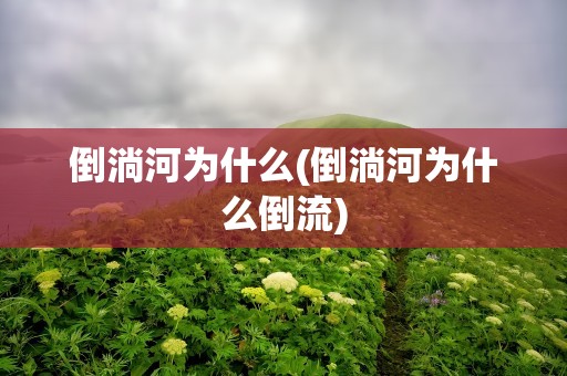 倒淌河为什么(倒淌河为什么倒流)