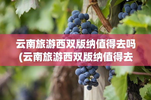 云南旅游西双版纳值得去吗(云南旅游西双版纳值得去吗现在)