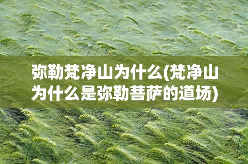 弥勒梵净山为什么(梵净山为什么是弥勒菩萨的道场)