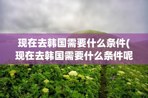 现在去韩国需要什么条件(现在去韩国需要什么条件呢)