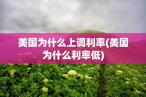美国为什么上调利率(美国为什么利率低)