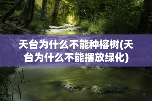 天台为什么不能种榕树(天台为什么不能摆放绿化)