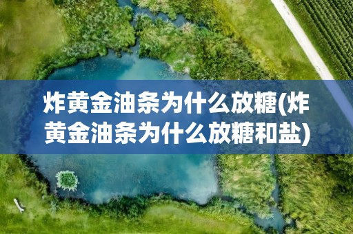炸黄金油条为什么放糖(炸黄金油条为什么放糖和盐)