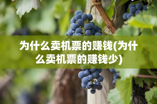 为什么卖机票的赚钱(为什么卖机票的赚钱少)