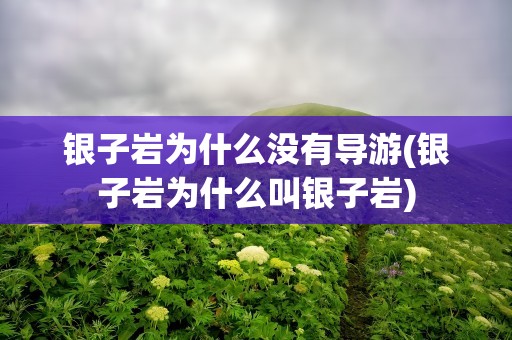 银子岩为什么没有导游(银子岩为什么叫银子岩)
