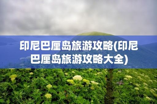 印尼巴厘岛旅游攻略(印尼巴厘岛旅游攻略大全)
