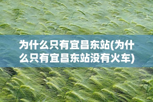 为什么只有宜昌东站(为什么只有宜昌东站没有火车)