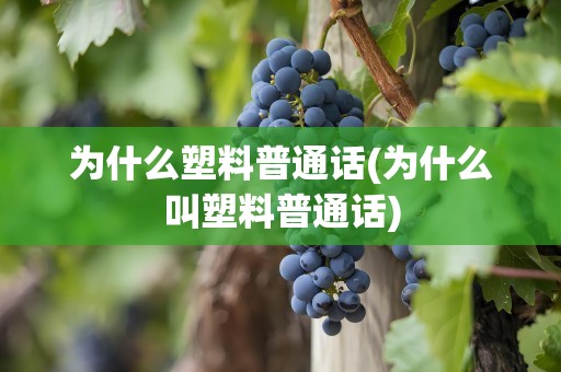 为什么塑料普通话(为什么叫塑料普通话)