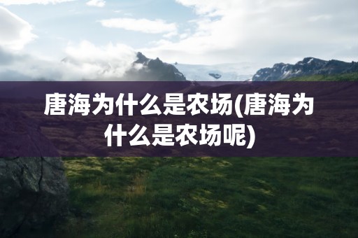 唐海为什么是农场(唐海为什么是农场呢)