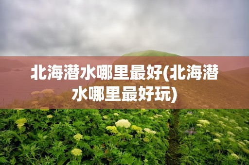 北海潜水哪里最好(北海潜水哪里最好玩)