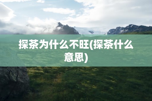 探茶为什么不旺(探茶什么意思)