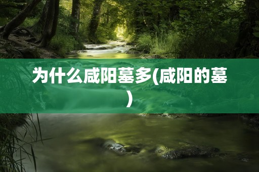 为什么咸阳墓多(咸阳的墓)
