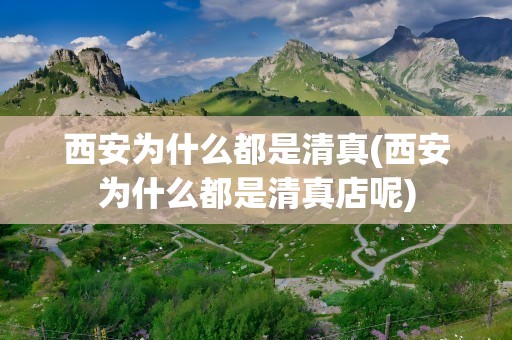 西安为什么都是清真(西安为什么都是清真店呢)