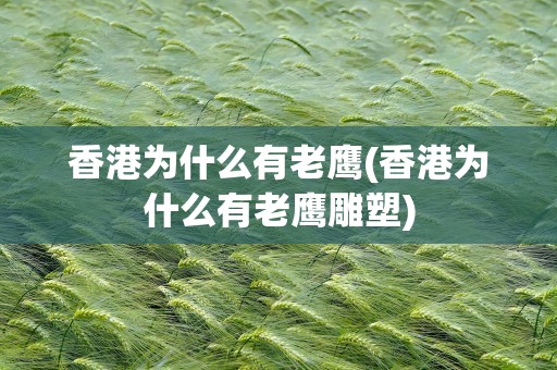 香港为什么有老鹰(香港为什么有老鹰雕塑)