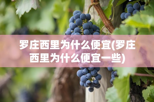 罗庄西里为什么便宜(罗庄西里为什么便宜一些)