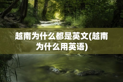 越南为什么都是英文(越南为什么用英语)
