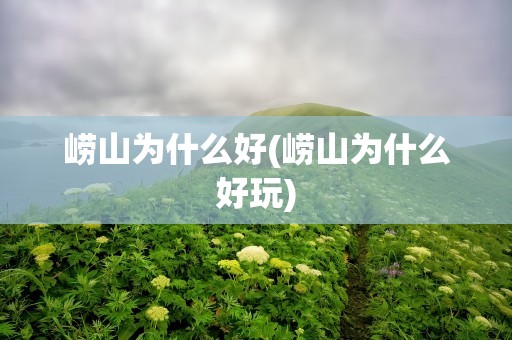 崂山为什么好(崂山为什么好玩)