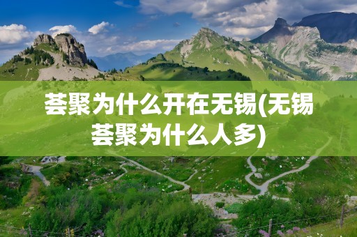 荟聚为什么开在无锡(无锡荟聚为什么人多)