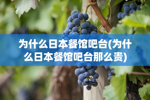为什么日本餐馆吧台(为什么日本餐馆吧台那么贵)