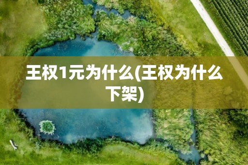 王权1元为什么(王权为什么下架)