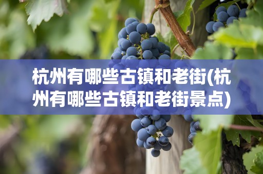 杭州有哪些古镇和老街(杭州有哪些古镇和老街景点)