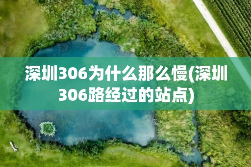 深圳306为什么那么慢(深圳306路经过的站点)