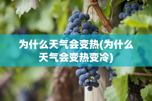 为什么天气会变热(为什么天气会变热变冷)