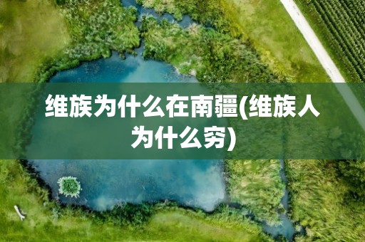 维族为什么在南疆(维族人为什么穷)